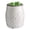 White Willow Farmhouse, variant on Etc. Wax Melt Fragrance Warmer For Scented Melts Cubes Tarts With Silicone Dish Top|white Willow Farmhouse