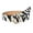 A4, variant on Womens Leopard Print Belt for Jeans PU Leather Belt with Alloy Buckle