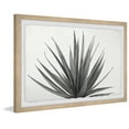 thumbnail image 2 of Marmont Hill Marginata Framed Wall Art, 16" x 24", 2 of 6
