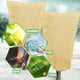 thumbnail image 3 of Injueey Bolsa para plantas de maceta de protección de invierno con varios tamaños y cubierta de protección contra heladas suave y Jardín y Patio, 3 of 6