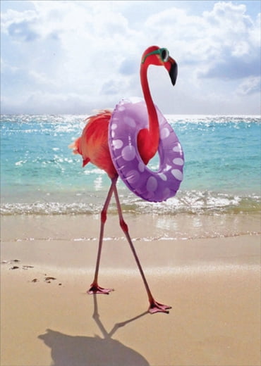 FLAMINGO Personalised Birthday Card animal bird flamingos pink boy girl happy