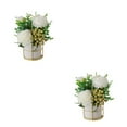 thumbnail image 1 of kurtrusly Artificial Flowers With Vase Add Of Color And Style To Any Room Indoor Pinellia white 2Set, 1 of 6