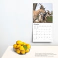 thumbnail image 5 of Goats | 2025 12x24" (Hanging) Wall Calendar | Plastic-Free | BrownTrout, 5 of 9