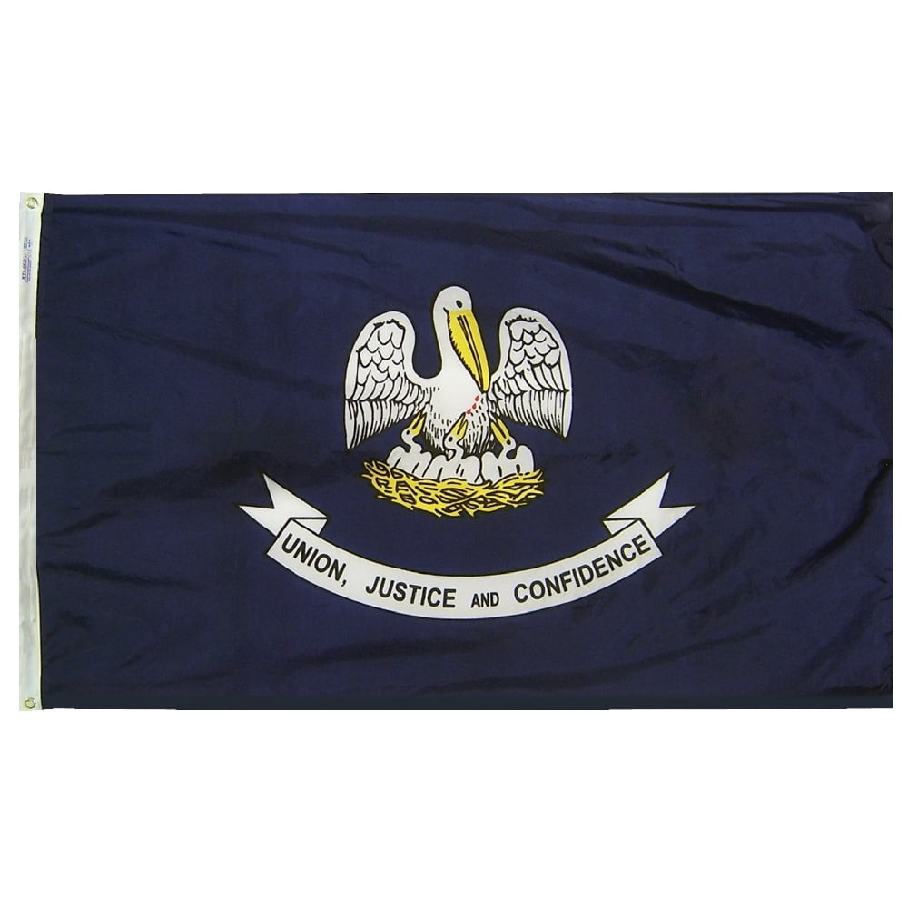 Annin Flagmakers Saudi-Arabien Flagge – Nyl-Glo SolarGuard, 0,6 X 0,9 M, Wetterfest, Made In USA