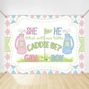 Blue and Pink Golf Theme Gender Reveal Backdrop Caddie Be She or He Party Supplies Girl or Boy Sports Background Putters or Pearls Copper Grommets Banner…
