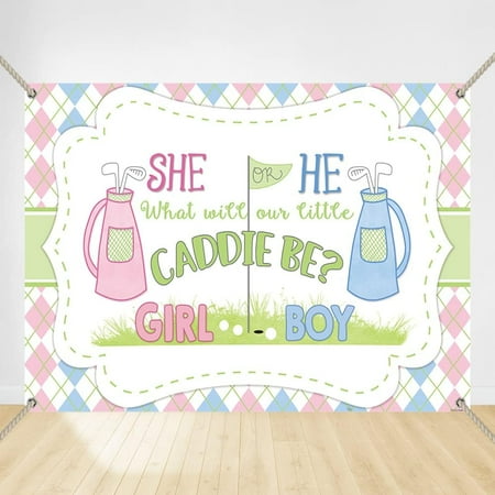 Blue and Pink Golf Theme Gender Reveal Backdrop Caddie Be She or He Party Supplies Girl or Boy Sports Background Putters or Pearls Copper Grommets Banner…