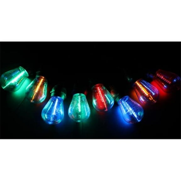 Good Tidings N23 98349X 2-in-1 LED Changing String Lights with Multi Lights & Black Wire Color