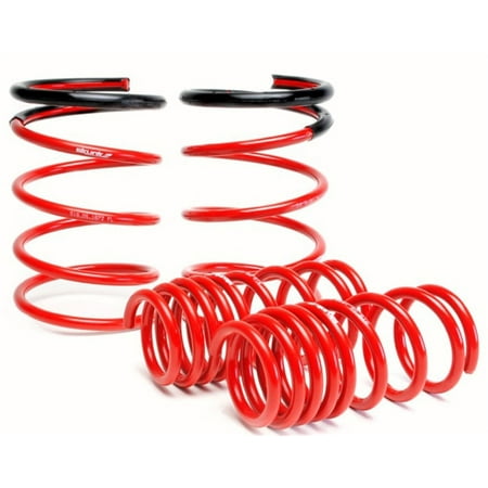 Skunk2 02-04 Acura RSX Lowering Springs (2.25in - 2.00in.) (Set of