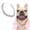 Silver, variant on 1 Pack Rose Gold Dog Cuban Link Chain Necklace, Bling Hop Metal Pet Jewelry Collar, Decorative Accessory for Small Dogs, French Bulldogs & Puppies