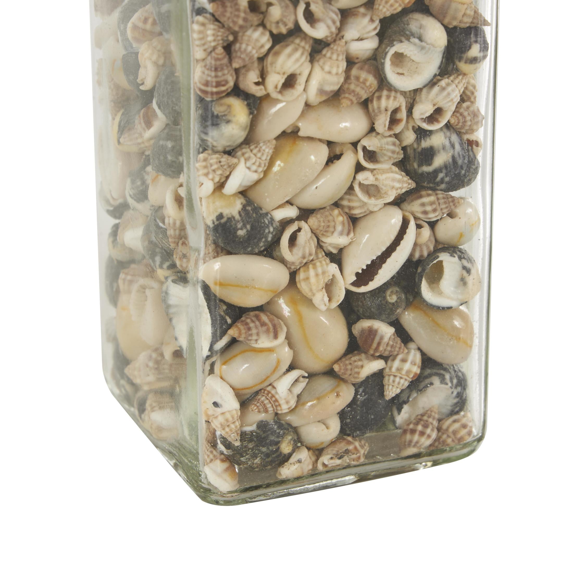 DecMode Clear 3" Glass Orbs & Vase Filler with Seashells and Jute Rope Accents (3 Count)