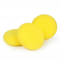 Hemoton 10pcs Foam Paint Brushes Set, Round and Flat Sponge Brushes for Craft, Art, Wall Painting, Projects, Multi-Use Paint Sponges