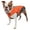 Orange, variant on Airline Approved Altitude Force Sporty Zippered Fashion Pet Carrier