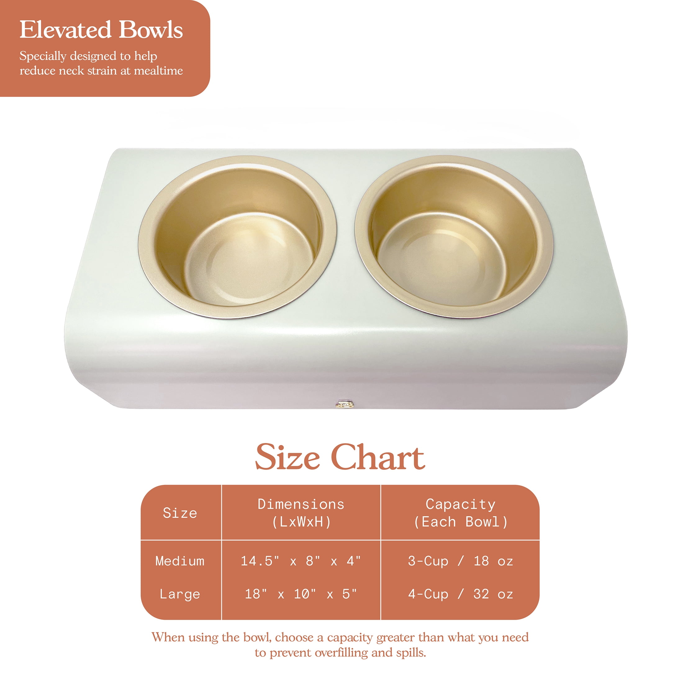 Beautiful Double Elevated Stainless Steel Pet Bowl, 4-Cup, Sage by Drew Barrymore
