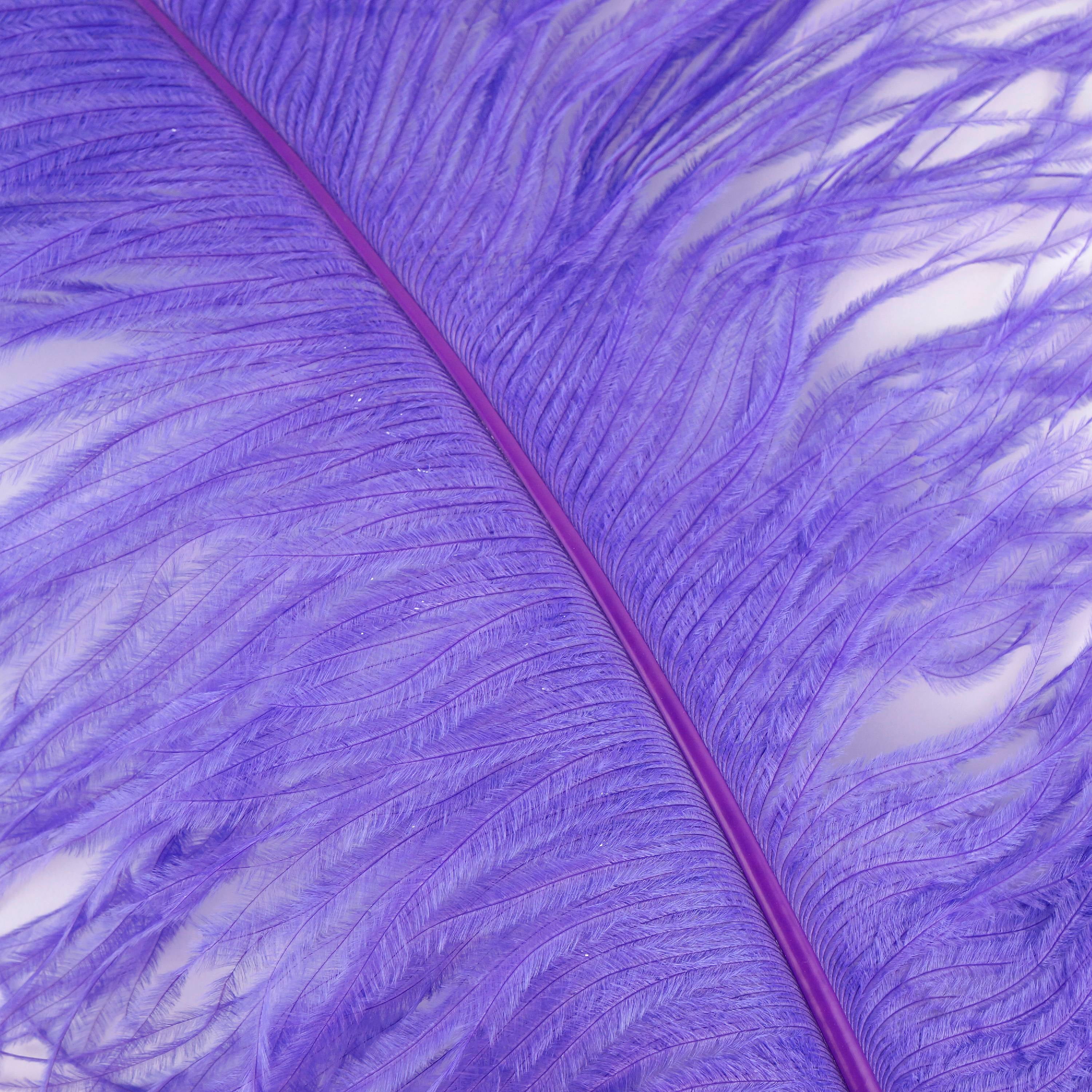 Jenlyfavors 18 - 24 Inches Ostrich Dyed Purple Feather (1 Piece)