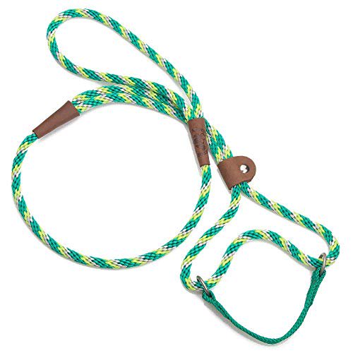 Mendota Pet Dog Walker, Martingale Style Leash - Leash & Collar Combo, Made in The USA - Ivy, 3/8 in x 6 ft - for Small/Medium Breeds