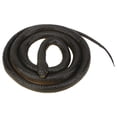 thumbnail image 2 of Serpiente de simulación, serpiente de simulación de plástico blando Modelo de serpiente de simulación Serpiente falsa Rendimiento finamente afinado, 2 of 10