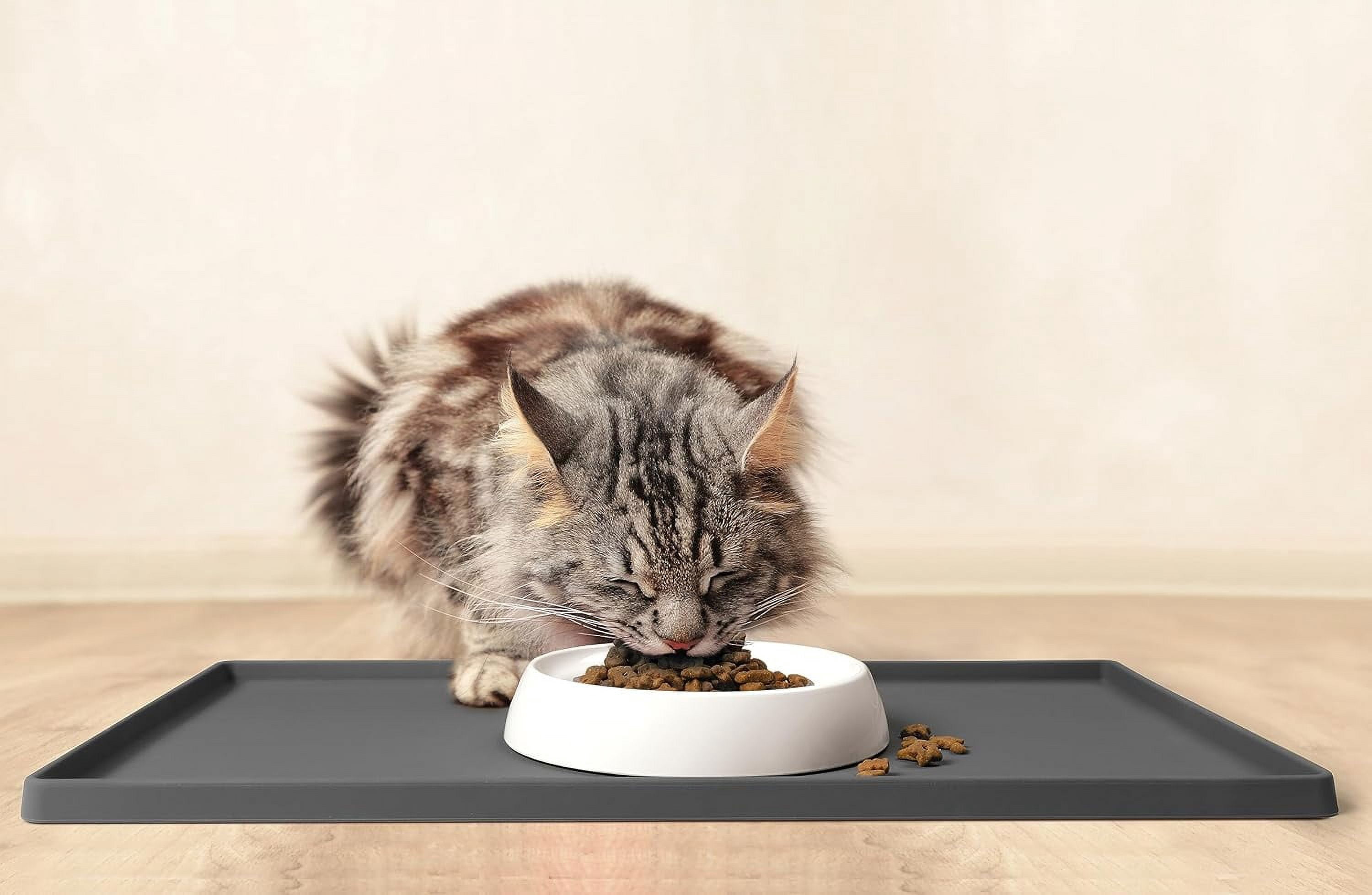 CatGuru Cat Bowls, Whisker Stress Free Cat Food Bowl, Reliefs Whisker Fatigue, Wide Cat Bowl, Non Slip Cat Food Bowls, Shallow Cat Dish, Cat Feeding & Watering Supplies (Marshmallow)