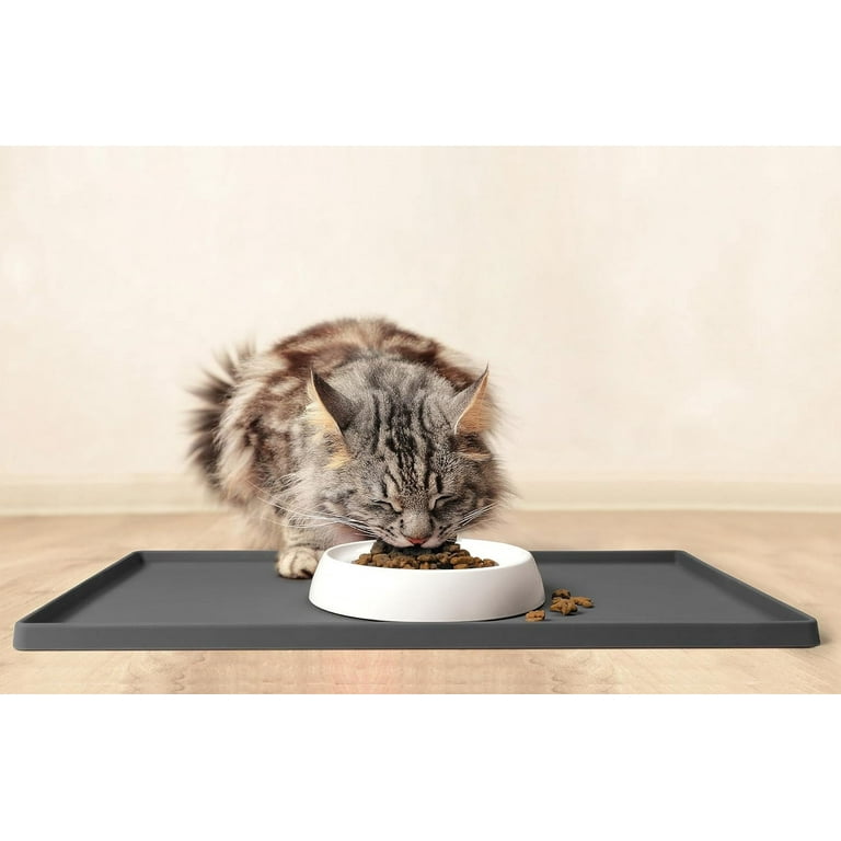 CatGuru Cat Bowls Whisker Stress Free Cat Food Bowl Reliefs Whisker Fatigue Wide Cat Bowl Non Slip Cat Food Bowls Shallow Cat Dish Cat Feeding