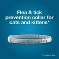 thumbnail image 2 of Collar Seresto Cat para tratamiento de pulgas y garrapatas, 8 meses de protección, 2 of 6