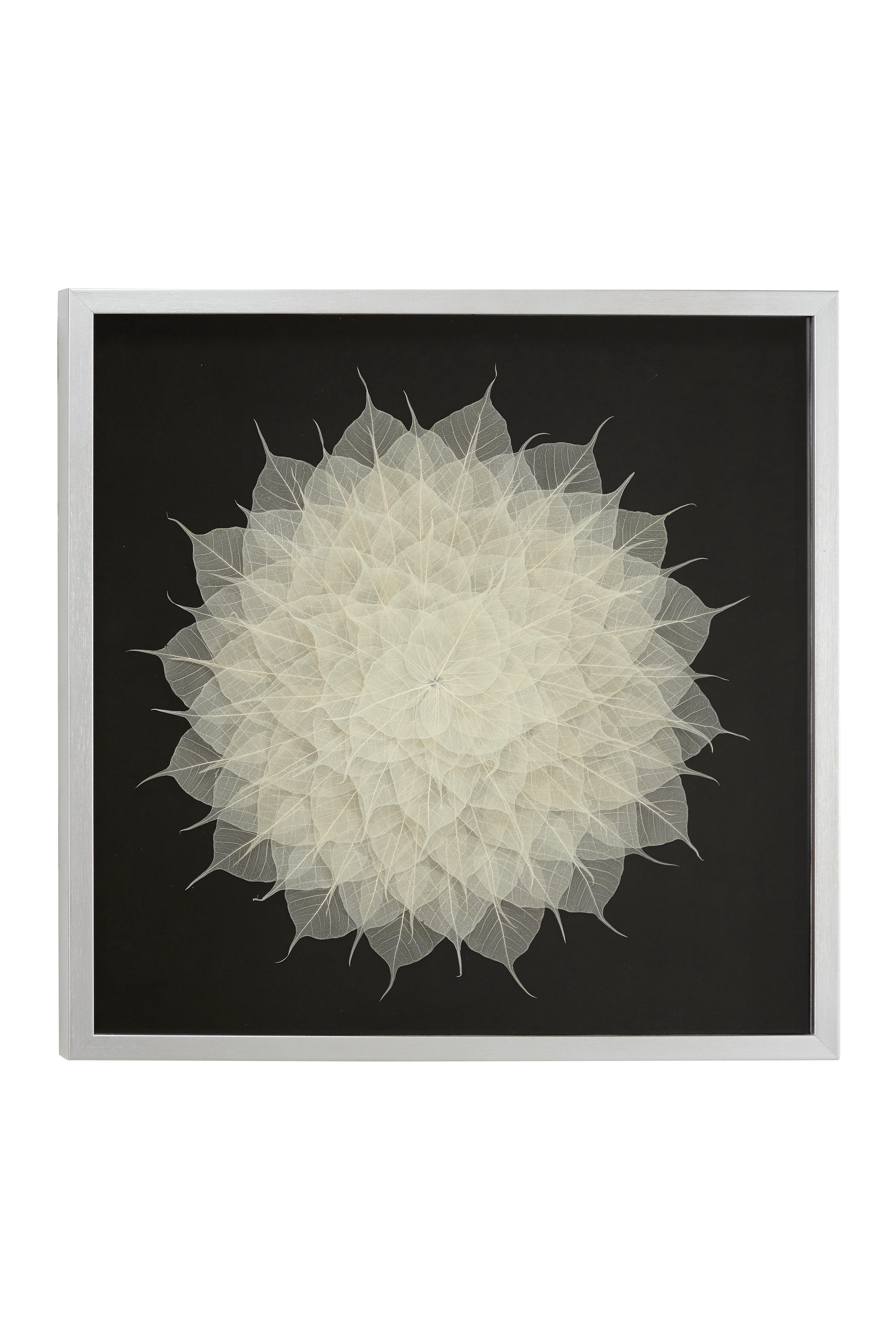 DecMode White Leaf Mandala Natural Wall Decor Shadow Box, 23.5" x 23.5"