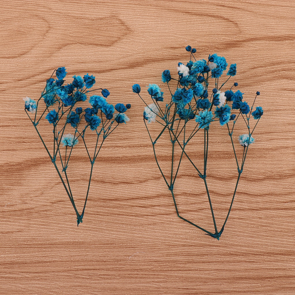 Pastel Blue Dried Flowers
