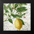 thumbnail image 2 of Allen, Kimberly 15x15 Black Modern Framed Museum Art Print Titled - Fruit Picking 4, 2 of 5