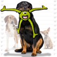 thumbnail image 4 of CHUANK Alien Ball Green Legs Durable Dog Squeaky Toy, 4 of 8