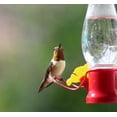 thumbnail image 6 of VIMOA Mini Hummingbird Feeder Small 4 Pack Tulip Type Plastic Tiny Feeders for Outdoor Lightweight Safer, 6 of 10