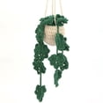 thumbnail image 1 of DIY Wool Knitted Lace Hanging Crochet Kit with English Instructions, 1 of 3