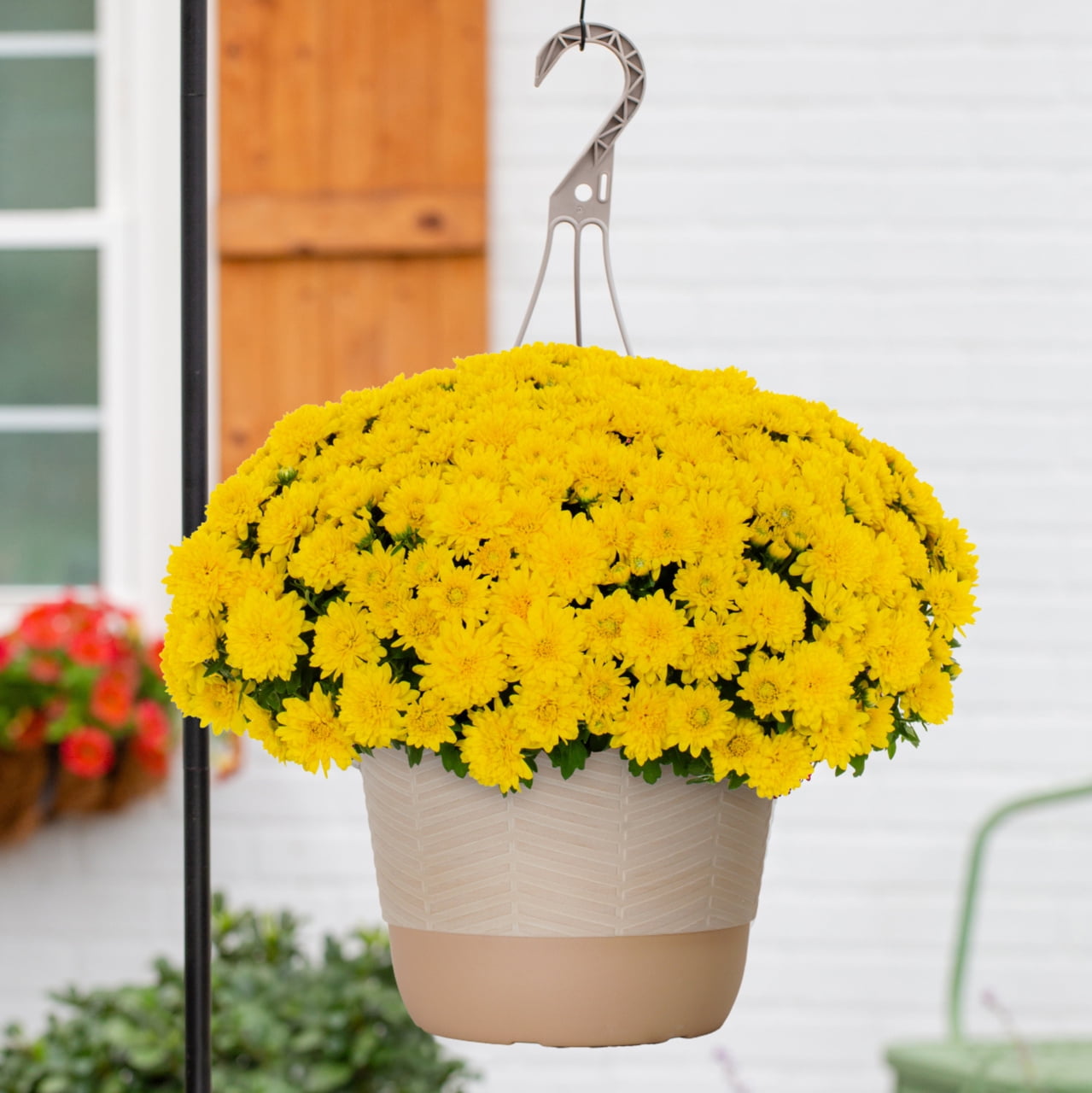 1ab8a93e-9803-4d64-98f1-