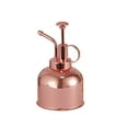 thumbnail image 2 of Taicans Plant Mister Spray Bottle,Metal Stainless Steel Plant Sprayer Mister,Small Watering Can Plant Spritzer with Top Pump,Succulent Bonsai Garden Houseplant Spritzer Modern Garden Tools Rose Gold, 2 of 9