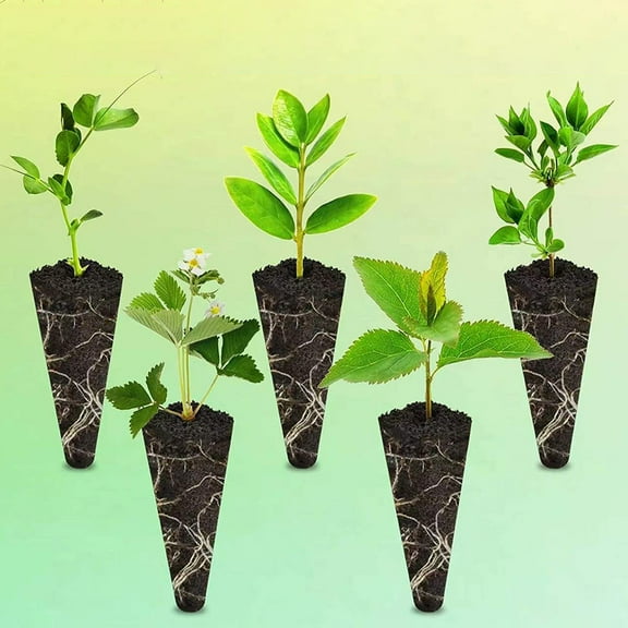 GOOHOCHY 50pcs Soilless Cultivation Nursery Blocks Professional Nutrient Blocks Planting Supply