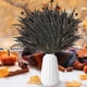 thumbnail image 4 of Set de 5 plantas artificiales de Halloween | Plantas verdes de plástico negro para decoración de interior y exterior | Arreglos florales en jarrones y macetas de 40 cm, 4 of 7