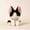 Black-White DevonRex, variant on GlobalBreeze Cute Devon Cat Plush Toy, Soft Calico Siamese Stuffed Animal Doll, Adorable Kitty Plushie Pillow, Fluffy Cuddly Sleeping Companion, Cozy Hugging Toy, Birthday Gift for Girls Kids