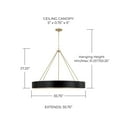 thumbnail image 3 of Capital Lighting 453061 Weller 6 Light 36" Wide Ring Chandelier - Brass, 3 of 7