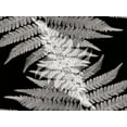 thumbnail image 2 of Christensen, Jim 14x12 Gold Ornate Wood Framed with Double Matting Museum Art Print Titled - Ferns II, 2 of 4