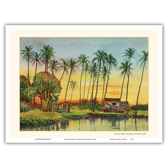 Coconut Grove - Territory of Hawaii - Vintage Hawaiian Color Postcard c.1908 - Master Art Print (Unframed) 9in x 12in
