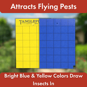 Tanglefoot Sticky Tangle-Trap Cards 200 Pack - 5x7 – Double-Sided Yellow & Blue Hanging Traps for Garden, Plants & Greenhouse Use