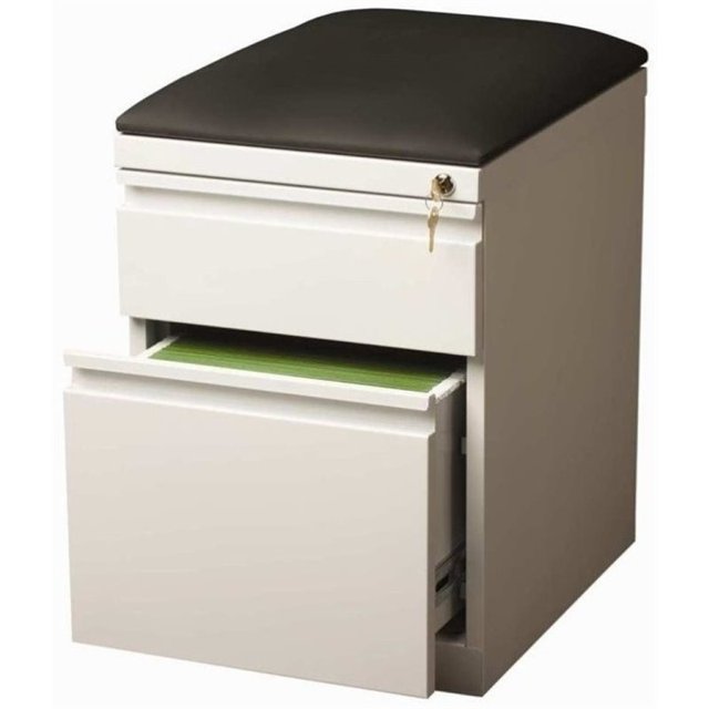 Pemberly Row 2 Drawer Faux Leather Top File Cabinet in White