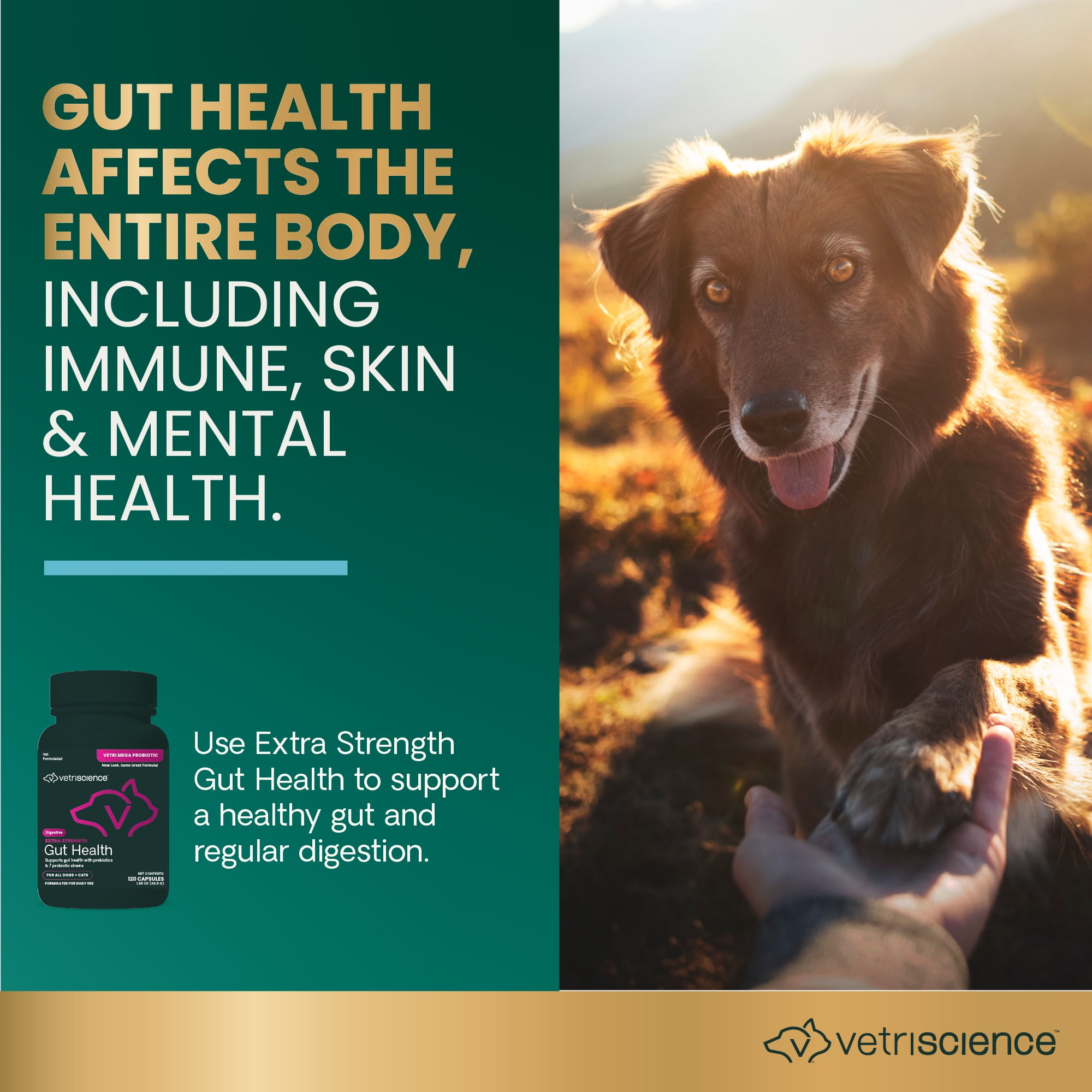 VetriScience Extra Strength Gut Health Probiotic Capsules for Dog & Cat, Unflavored, 120 Count Bottle
