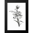 thumbnail image 2 of Paschke, Chris 13x18 Black Modern Framed Museum Art Print Titled - Line Echinacea I, 2 of 5