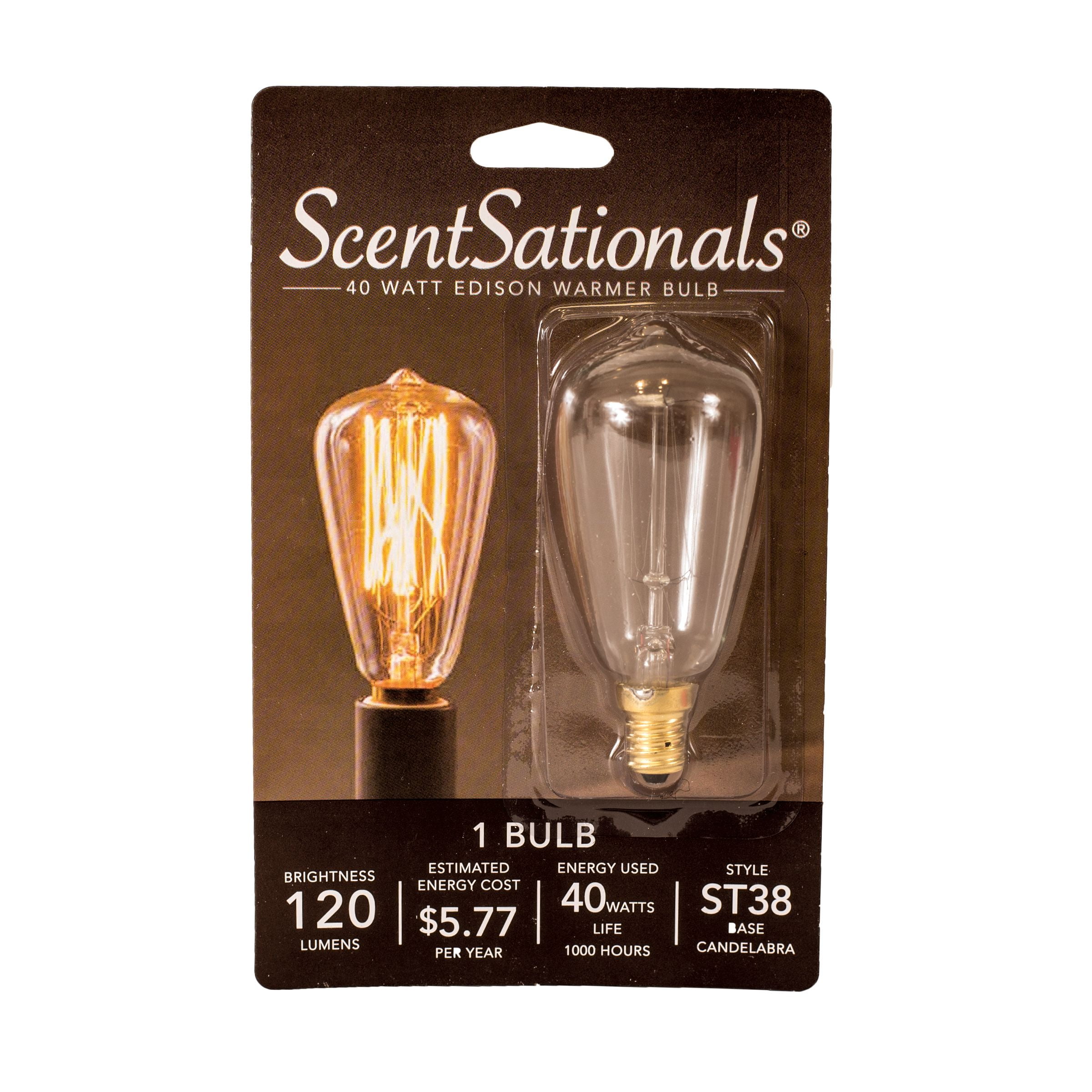 ScentSationals 40 Watt Edison Wax Warmer Replacement Light Bulb