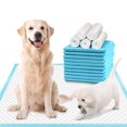 thumbnail image 1 of Almohadillas de entrenamiento para mascotas Dear, extra grandes, 76 cm x 66 cm (40), 1 of 9