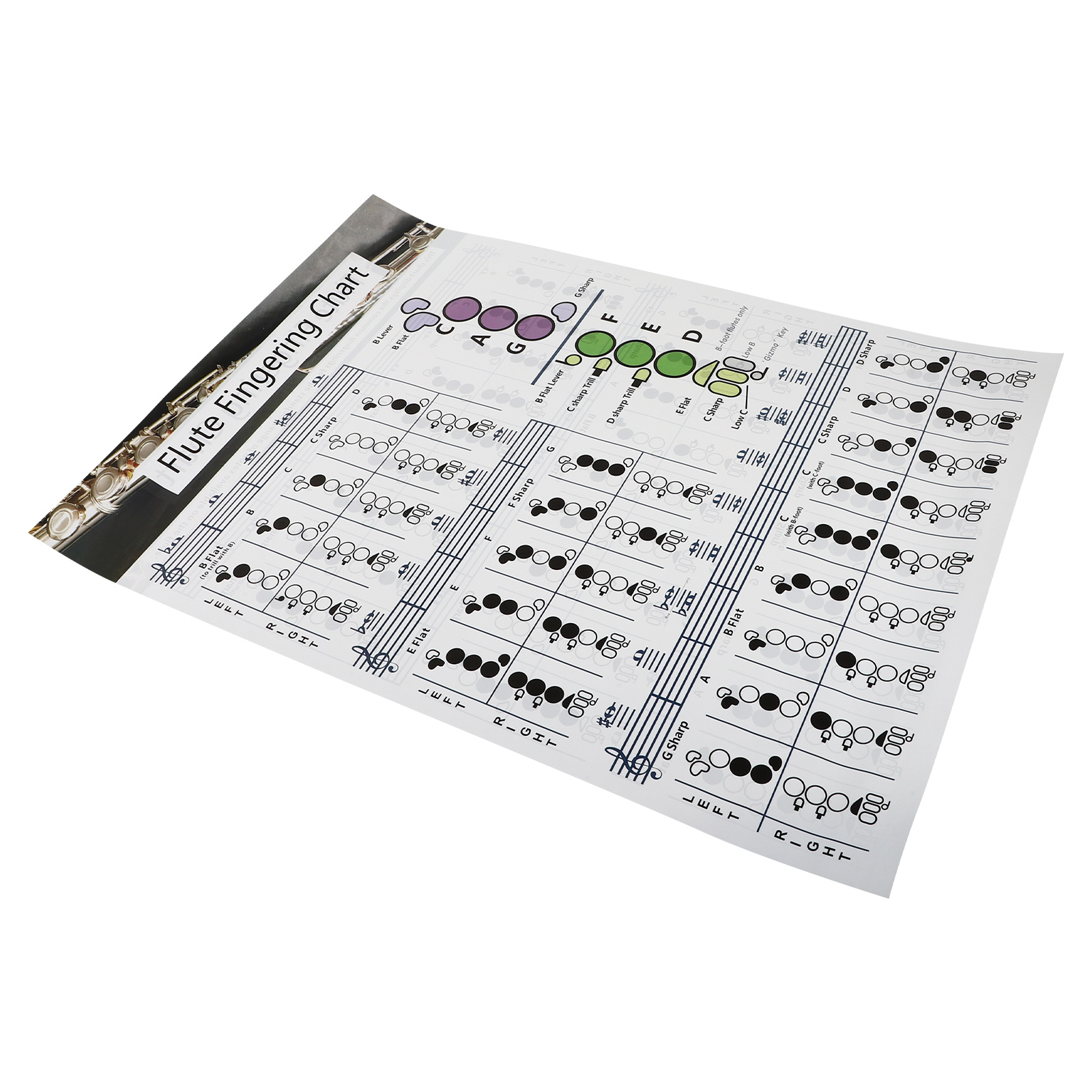 Flute Chart Fingering Chart Practical Flute Finger Guide Chart Useful 