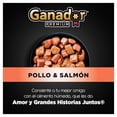 thumbnail image 3 of Alimento para perro Ganador Premium pollo y salmón 22 pzas, 3 of 4