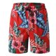 thumbnail image 1 of WILLBEST Pantalones Cortos Casuales para Hombre, para Primavera, Verano, Ocio, Fiesta, Playa, Hawaiano, Estampado con Cordones, 1 of 5
