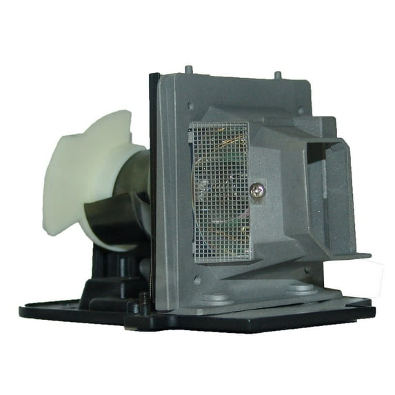 Replacement Lamp