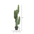 thumbnail image 3 of Vickerman 45" Artificial Green Finger Cactus in 8" Black Pot., 3 of 5