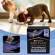 thumbnail image 5 of Purina Pro Plan Fortiflora Probióticos para perros Suplemento 30 x 1 g FECHA DE CADUCIDAD 10-2 0 2 6 Mejor, 5 of 7