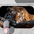 thumbnail image 5 of 1pc Tiger on a Log Absorbent Non-Slip Bathroom Thickened Flannel Rug Decor,Soft,Quick Drying,Suitable For Indoor/outdoor Use,Bathrooms,Bedrooms,Kitchens,Terrace,Laundry Rooms,16"x24", 5 of 9
